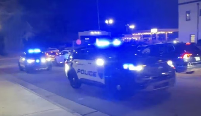 Police vehicles with flashing blue lights in a line at night.