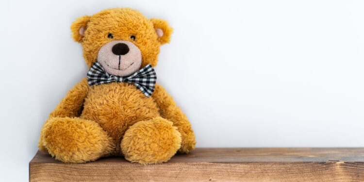 A children's toy in front of a white background.