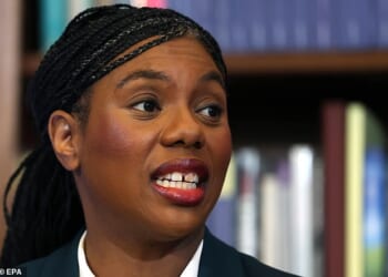 New research suggests the Tories would be decimated by the public vote in what one insider described as an 'existential threat' (file image)