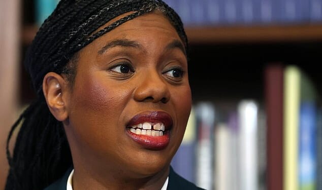 New research suggests the Tories would be decimated by the public vote in what one insider described as an 'existential threat' (file image)