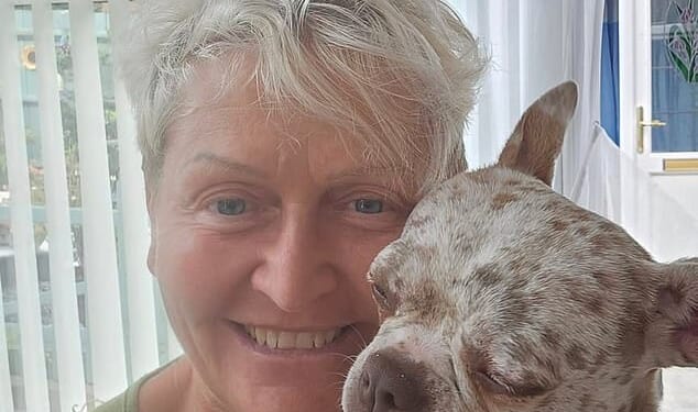 Fraudster Jamiel Slaney-Summers, 65, (pictured) tried to snatch 85-year-old Rita Barnsley's £175,000 lifesavings by drawing up the 'dodgy' document on the day she died in 2021