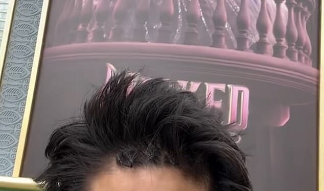 Crazed fan Johnson Wen, who vaulted a barricade and sprinted straight at Ariana Grande during the Singapore premiere of Wicked: For Good, has now been charged