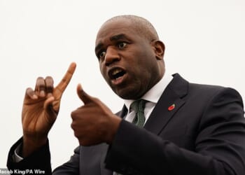 David Lammy is facing a Cabinet backlash over his 'cowardly' and 'incompetent' handling of a mistaken prisoner release