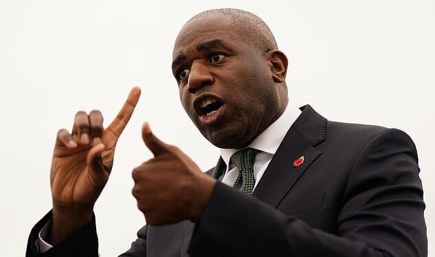 David Lammy is facing a Cabinet backlash over his 'cowardly' and 'incompetent' handling of a mistaken prisoner release