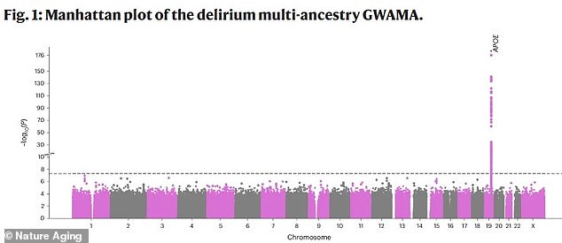 This graph shows the results of a genome-wide search for genes linked to delirium. Each point represents a single DNA change. The x-axis shows its location in the genome, while the y-axis shows the statistical significance of that link. The most significant finding was a spike on chromosome 19, annotated as the APOE gene, identifying it as the strongest genetic risk factor for delirium