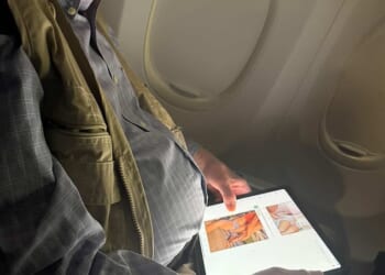 Pictures on social media revealed that congressman Brad Sherman had been caught looking 'at porn' mid-flight