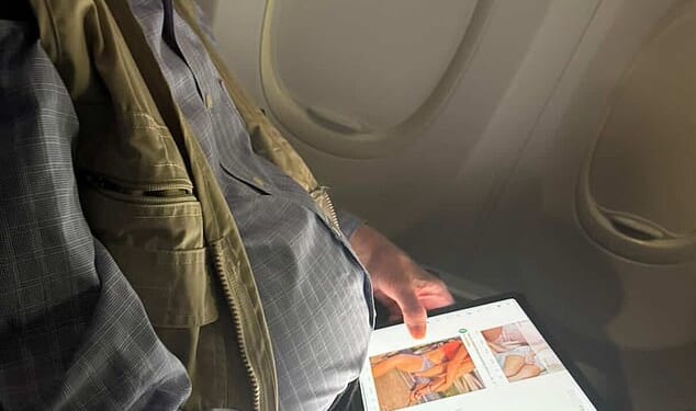 Pictures on social media revealed that congressman Brad Sherman had been caught looking 'at porn' mid-flight