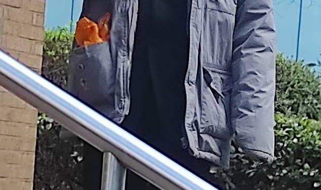 Nigerian Olubunmi Adeagbo-Sheikh, 41, made the fake claim while training to work as a medic in the UK. Pictured: Adeagbo-Sheikh outside court in February 2024