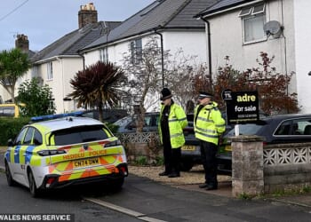 Police outside home where dog savaged a nine-month-old baby to death in South Wales