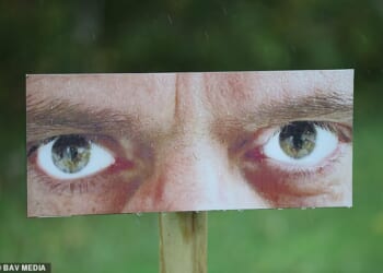 The 'hostile eyes' poster on the B1050 in Northstowe, Cambridgeshire, designed to deter littering on a busy road
