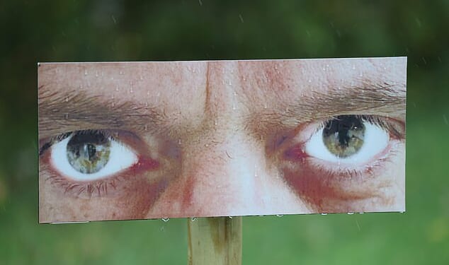The 'hostile eyes' poster on the B1050 in Northstowe, Cambridgeshire, designed to deter littering on a busy road
