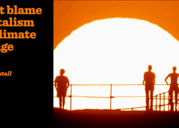 Don’t blame capitalism for climate change | Tim Worstall