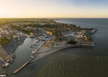 The incident took place at around 8.45 a.m. on Wednesday between the villages of Dolus-d'Oléron and Saint-Pierre-d'Oléron in the Charente-Maritime region