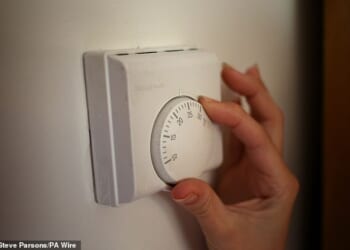 The energy price cap will rise by 0.2 per cent from January 1, Ofgem has said (stock image)