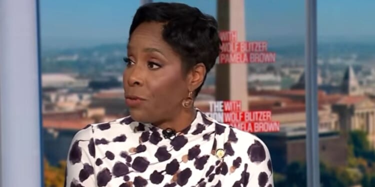 Epstein-Tied Democrat Delegate Digs Hole Even Deeper For Herself