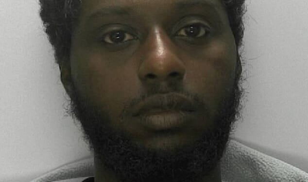 Ismail Ahmedsalih (pictured), from Eritrea in northeast Africa, was sentenced to 12 months in prison at Cheltenham Magistrates' Court and is now expected to be deported