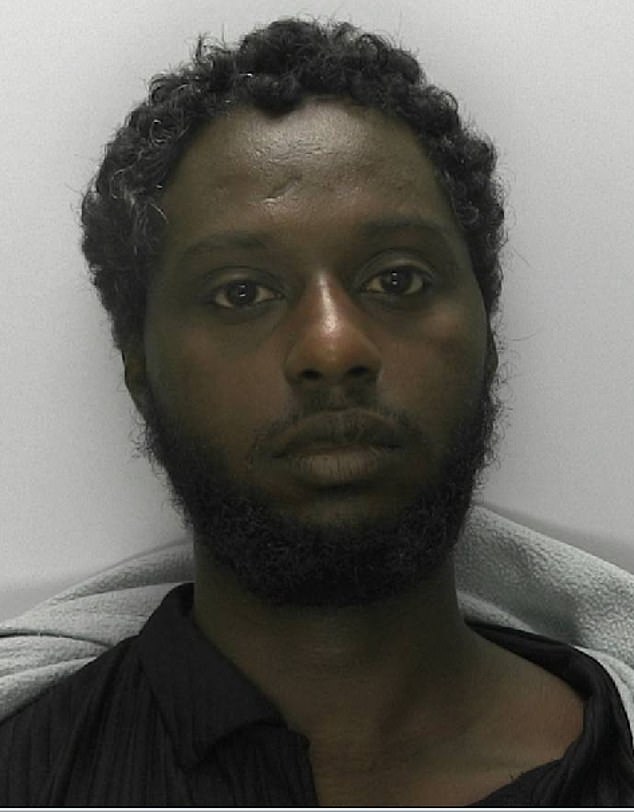 Ismail Ahmedsalih (pictured), from Eritrea in northeast Africa, was sentenced to 12 months in prison at Cheltenham Magistrates' Court and is now expected to be deported