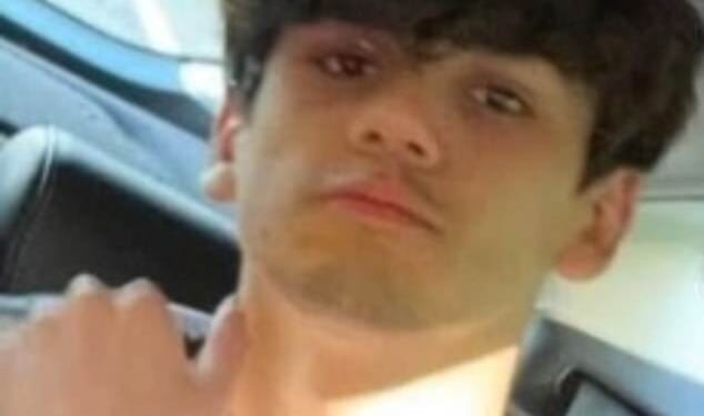 Cameron Cheng, 18, appeared before Newport Magistrates' Court charged with killing Lainie Williams