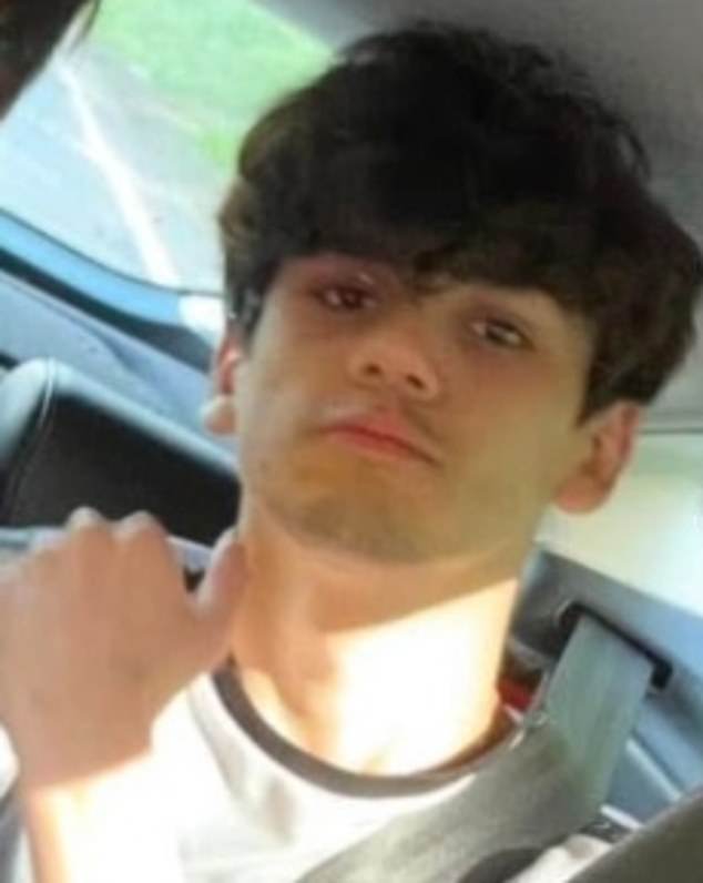 Cameron Cheng, 18, has today been charged with the murder of Lainie Williams, with whom he was previously in a relationship, and the attempted murder of a 38-year-old woman