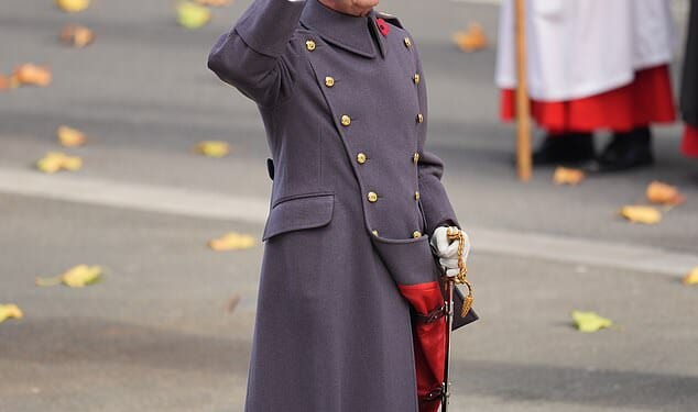 King Charles stared solemnly as he saluted in front of the Cenotaph to mark Remembrance Day