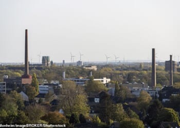 Sayed Akbar S. is alleged to have stabbed Magda M. 27 times with an eight-centimetre blade on May 7 2025 at a 'New Yorker' clothing store in Krefeld (File image of Krefeld)