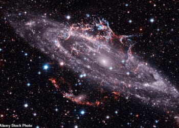 Jemima Cainer says New Moons bring fresh beginnings ¿ but there is no sugarcoating the truth that, for something to begin, a space must first be created by an ending