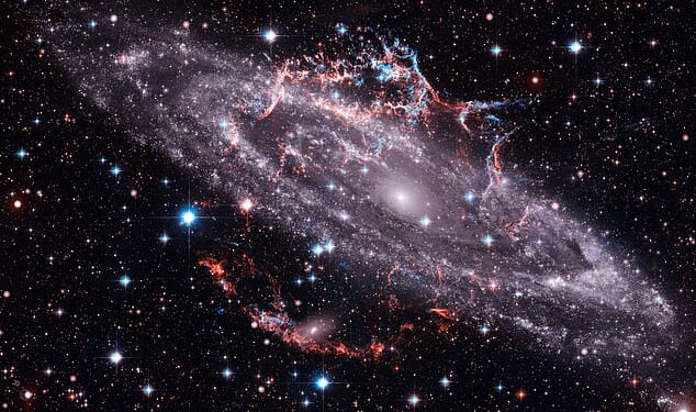 Jemima Cainer says New Moons bring fresh beginnings ¿ but there is no sugarcoating the truth that, for something to begin, a space must first be created by an ending