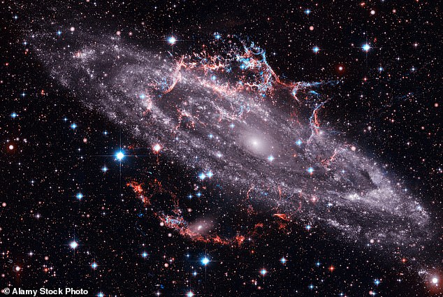 Jemima Cainer says New Moons bring fresh beginnings ¿ but there is no sugarcoating the truth that, for something to begin, a space must first be created by an ending