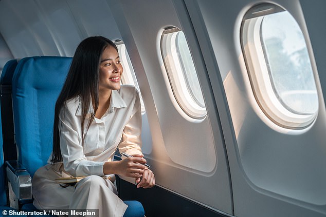 A former flight attendant has revealed the best and worst seats on a plane for avoiding mid-flight skin damage (stock)