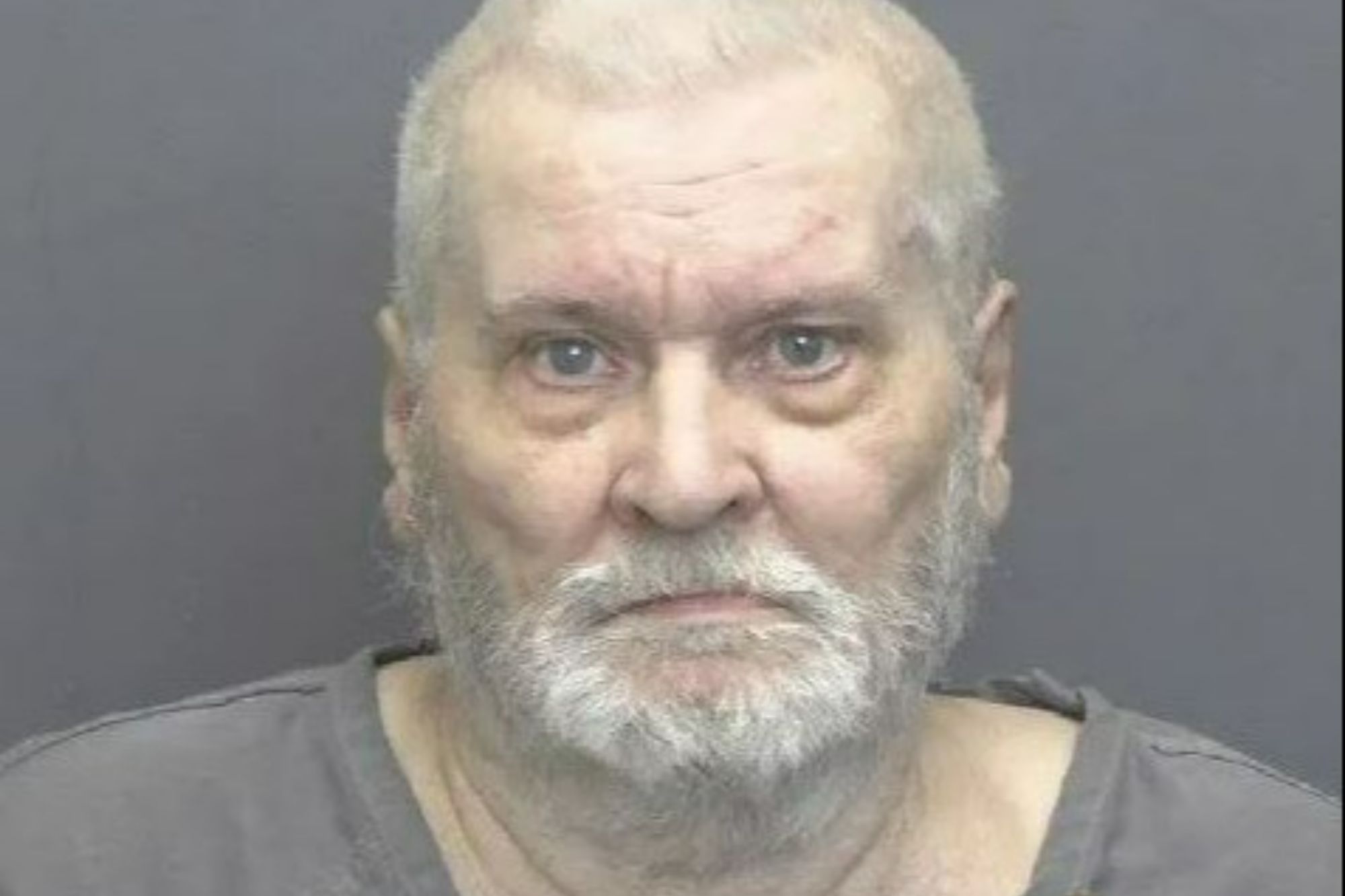 An image collage containing 1 images, Image 1 shows NINTCHDBPICT001038945317