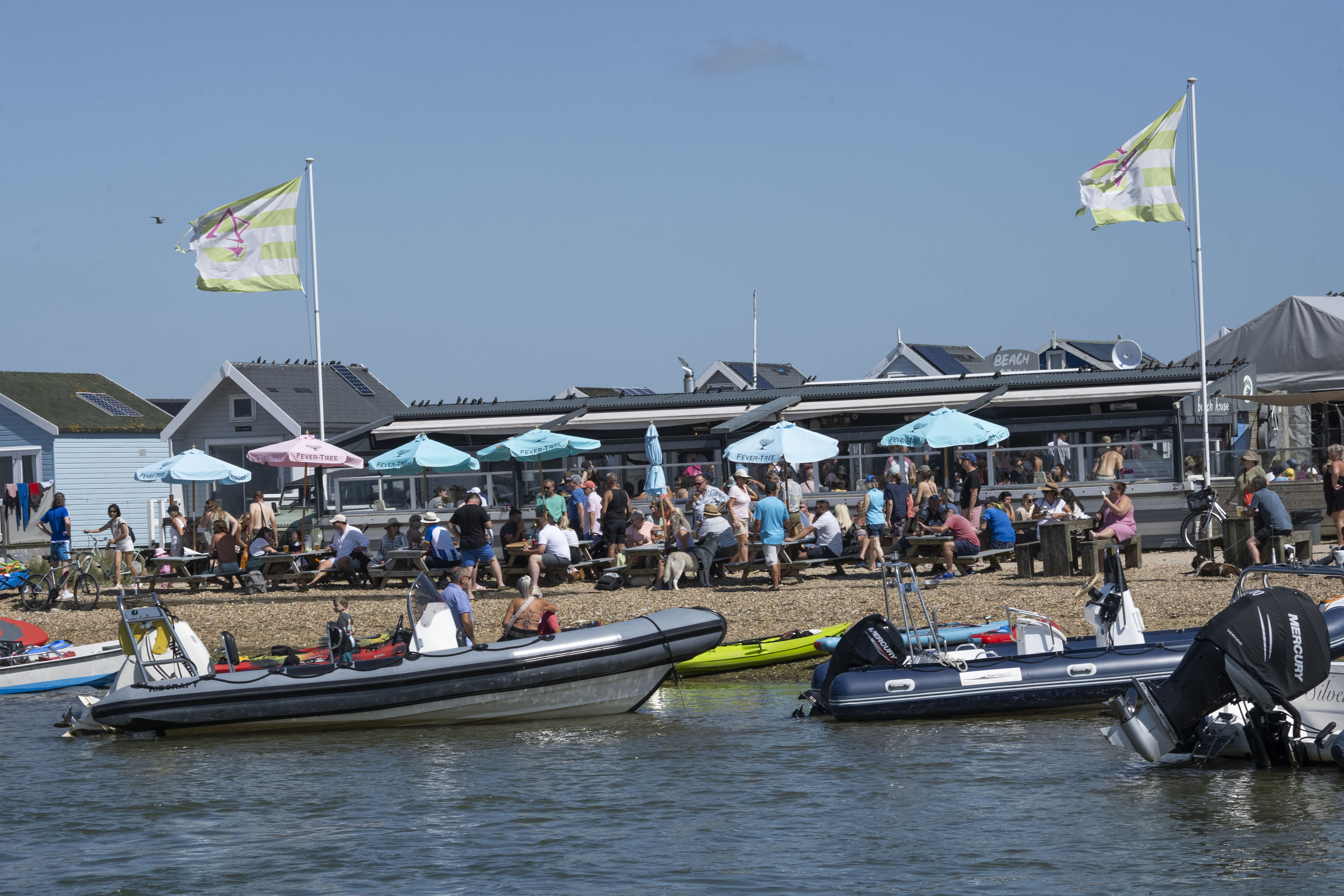 NINTCHDBPICT001041192894