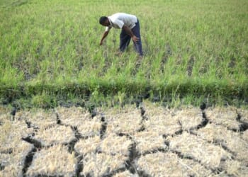 Generosity as a climate-action driver