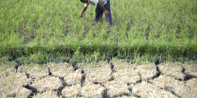 Generosity as a climate-action driver