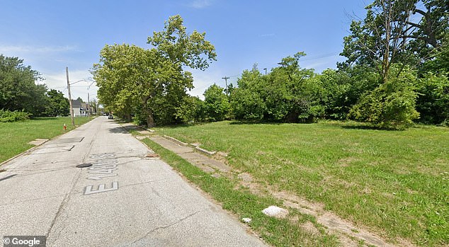 A ten-year-old girl and a nine-year-old boy have been charged with attempted murder, rape, assault, kidnapping and strangulation over the alleged attack, which took place near the Cleveland home (pictured) of one of the victim's family members