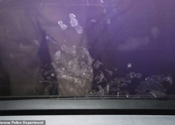 Crime scene photos taken by the Marana Police Department showed tiny handprints on the inside of the window in the car inches from where Parker was strapped in