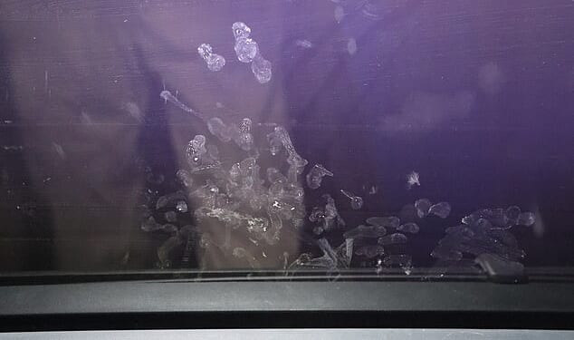 Crime scene photos taken by the Marana Police Department showed tiny handprints on the inside of the window in the car inches from where Parker was strapped in