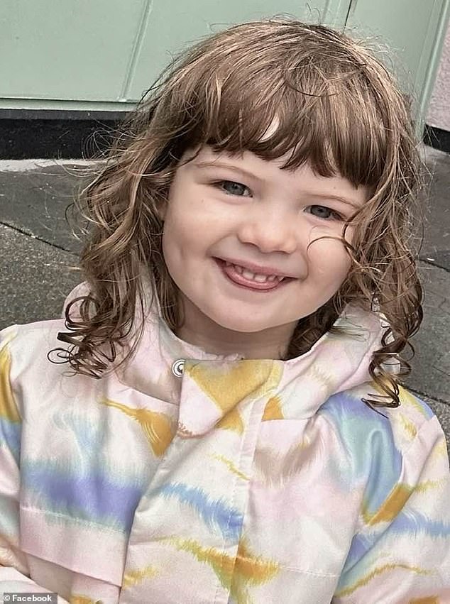 Parker Scholtes, 2, died of heatstroke after her father left her napping in a hot car while he drank beer, watched porn and played video games for three hours