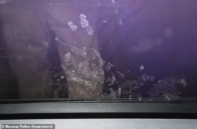 Crime scene photos taken by the Marana Police Department showed tiny handprints on the inside of the window in the car inches from where Parker was strapped in