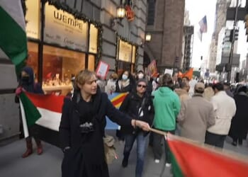 Protesters were seen waving Palestinian flags down Fifth Avenue as some demonstrators stormed inside Zara