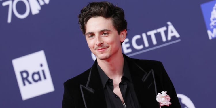 Timothee Chalamet attends the red carpet during the 70th David Di Donatello at Cinecitta Studios on May 7 in Rome, Italy.