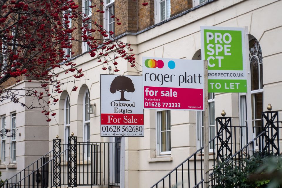 Three real estate signs, one saying "Oakwood Estates For Sale", another "roger platt for sale Maidenhead", and a third "PROSPECT TO LET", outside a building with red berries in the foreground, in Maidenhead, Berkshire.