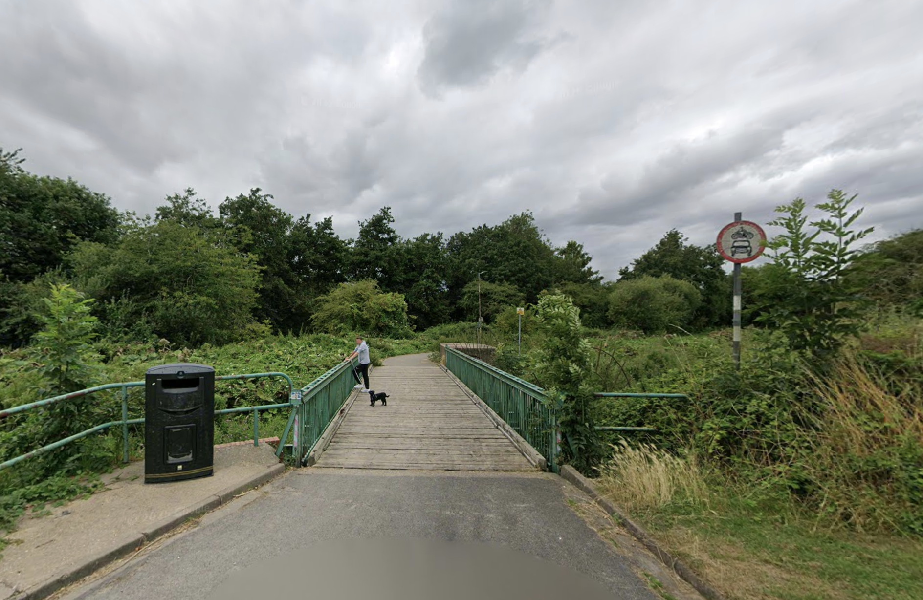 Wybers Wood, Grimsby bridge with person and dog.