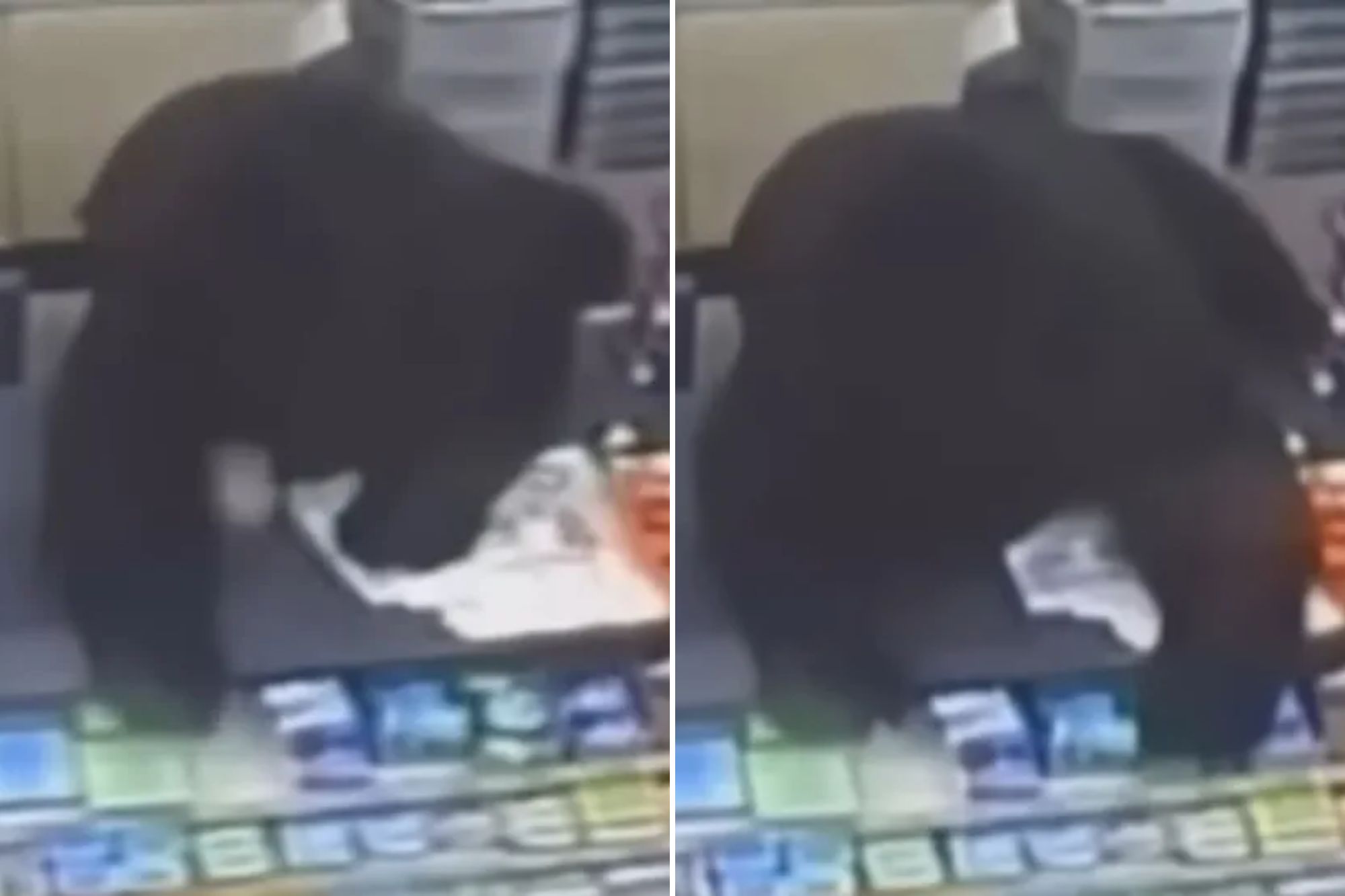 An image collage containing 2 images, Image 1 shows A bear stands on the counter of a dollar store, looking for food, Image 2 shows Bear at checkout counter in a dollar store