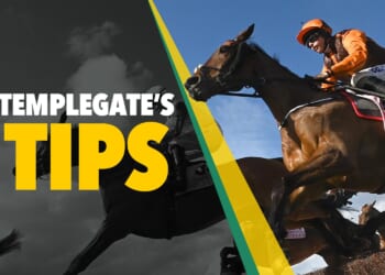 Horse racing tips: 'He's 5-1 and looks unstoppable going for a five-timer'