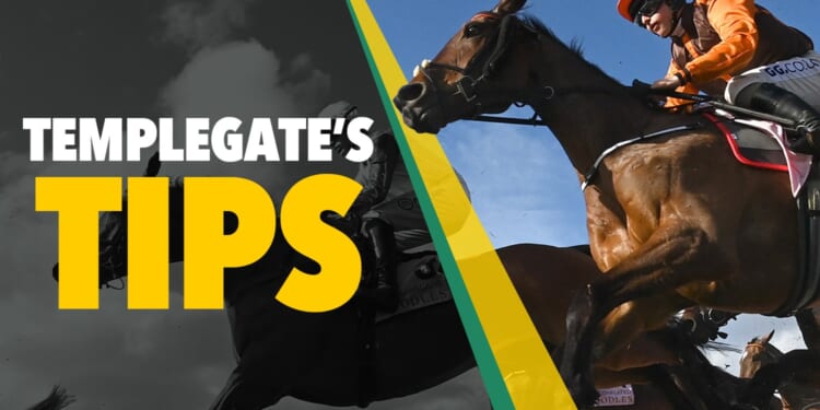 Horse racing tips: 'He's 5-1 and looks unstoppable going for a five-timer'