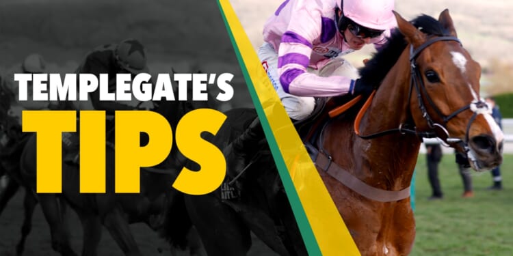 Horse racing tips: 'He's a brilliant chaser on an unbelievable run'