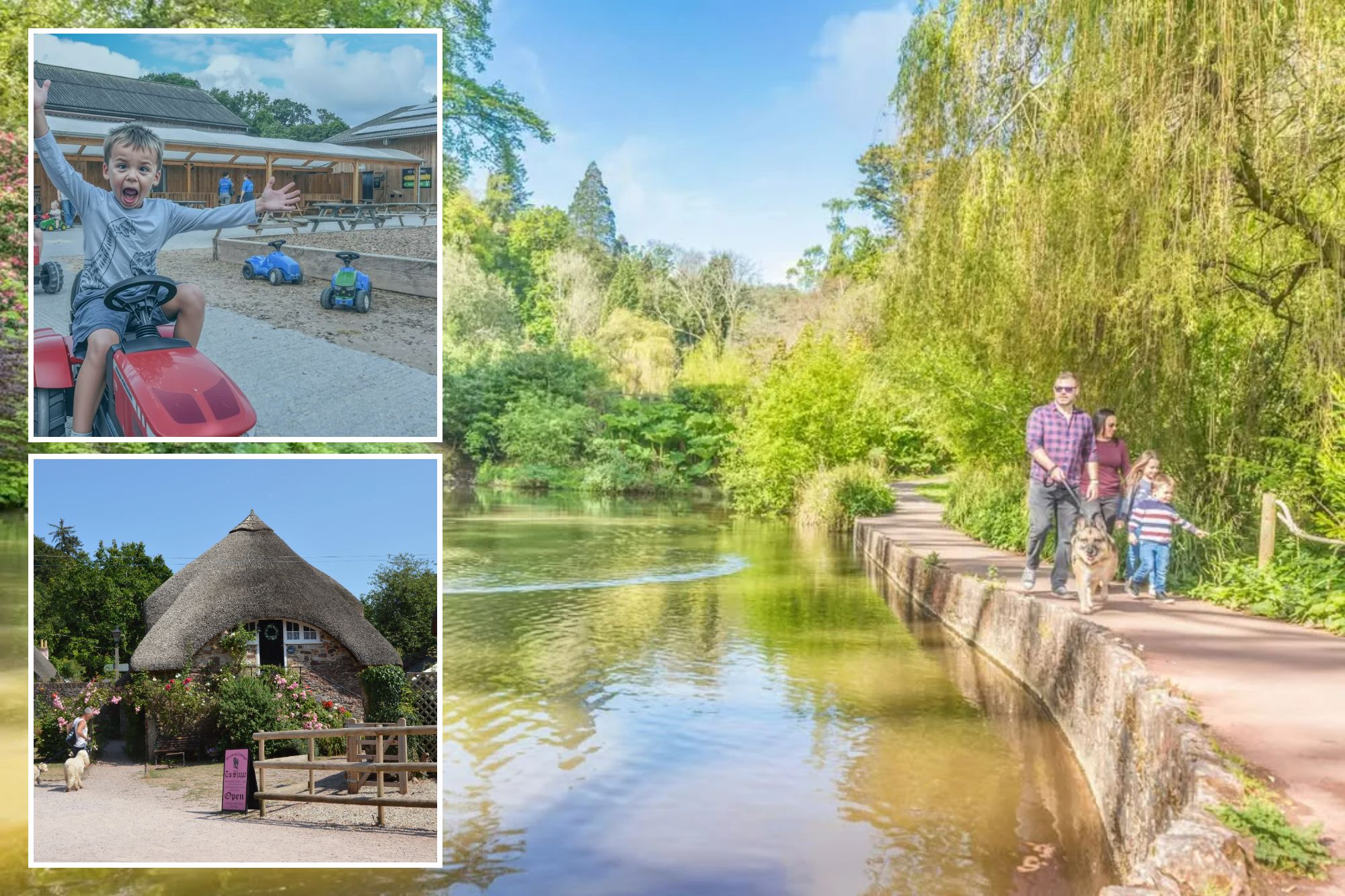 An image collage containing 3 images, Image 1 shows Family with a dog walking along a path next to a lake with ducks, Image 2 shows Thatched cottages and the "Weavers Cottage Tea Shoppe" in Cockington village, Devon, Image 3 shows A boy on a red toy tractor with arms up and mouth open in excitement, with a girl on a green toy tractor behind him, at Occombe Farm