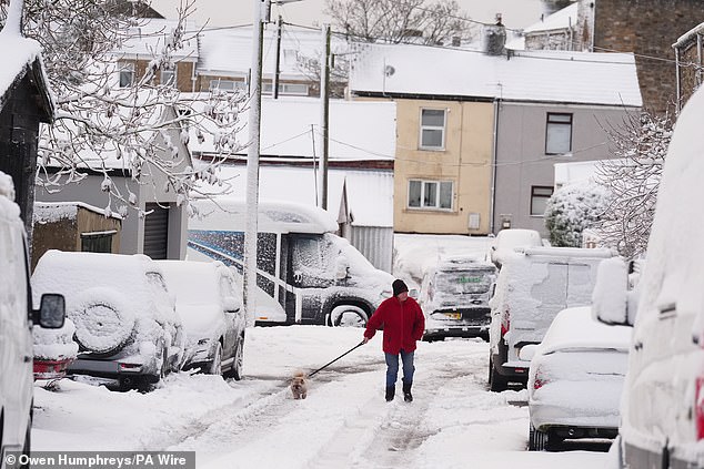 A person walking their dog through the snow in Tow Law, County Durham, this morning