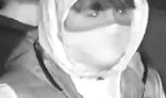 CCTV footage shows the masked youth wanted by police after boy, 4, hit by firework