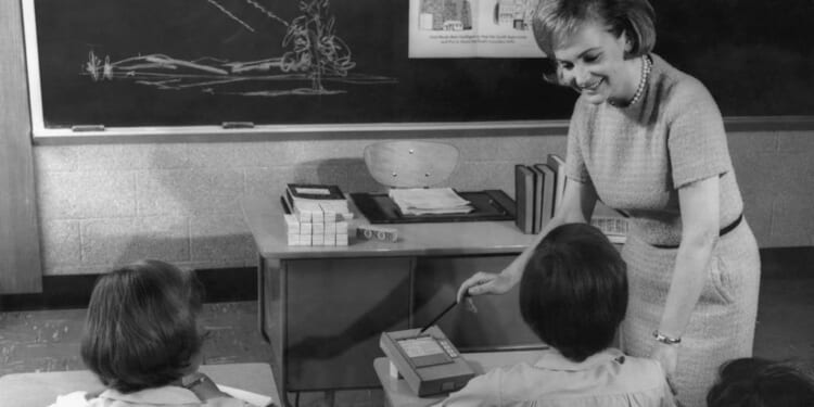 I regret choosing a llama-friendly school for Hector | Claudia Savage-Gore